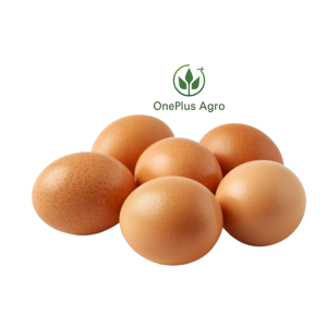 প্রিমিয়াম দেশি ডিম / Premium Deshi Eggs – স্বাস্থ্যকর ও তাজা